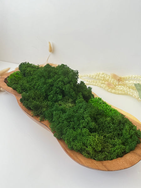 Preserved Moss in Acacia Bowl Centerpiece